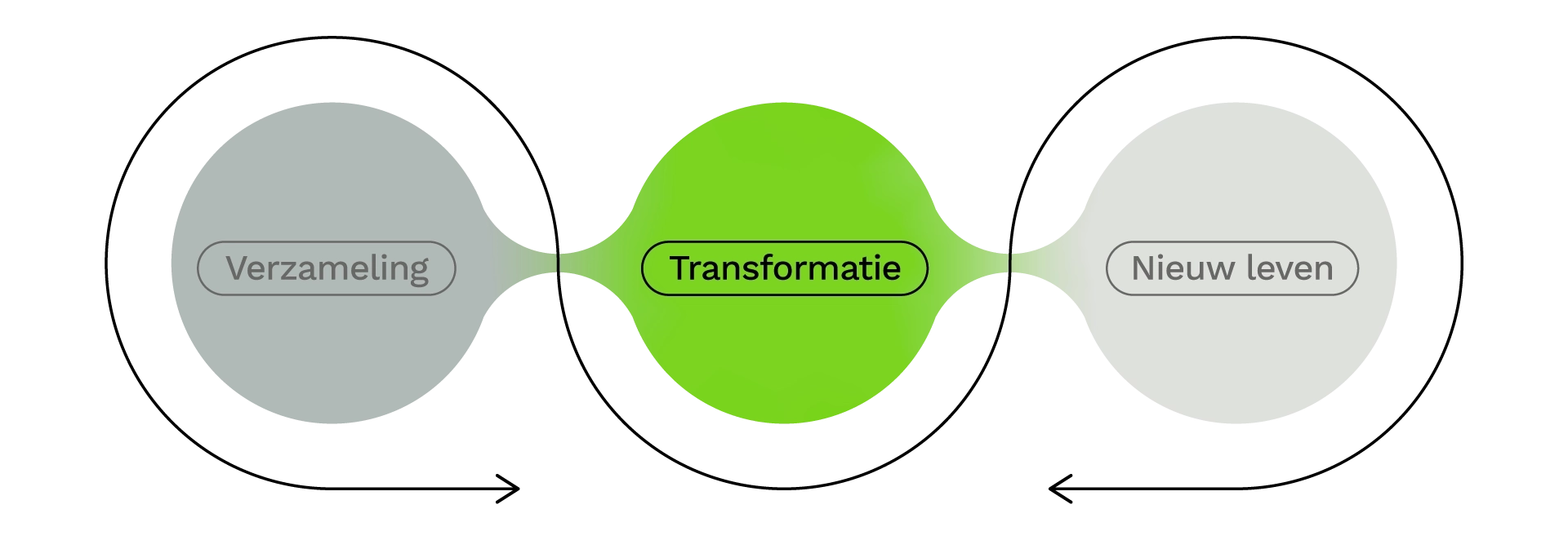 Transform-D-Dutch