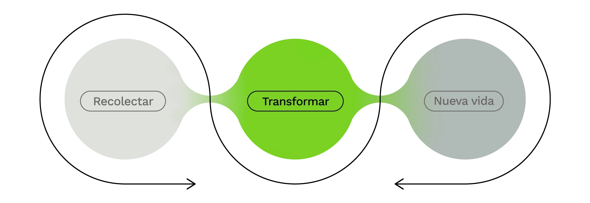 Transform-D-Spanish